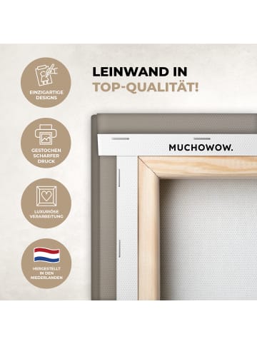 MuchoWow Leinwand bilder Federn (BxH)