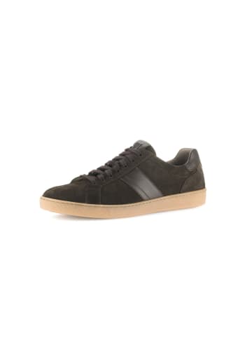 Pius Gabor Sneaker low in braun