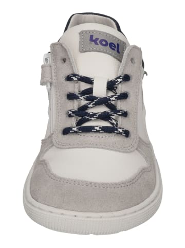 KOEL Sneaker Low DATE SUEDE 08M020.301-110 in bunt