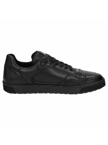 Sioux Sneaker für Herren in schwarz