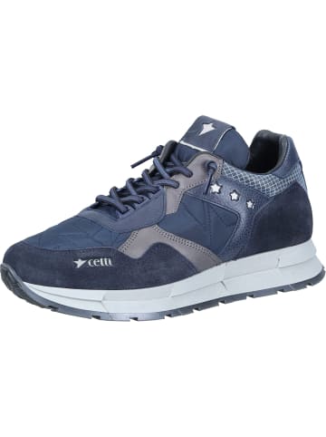 Cetti Sneakers Low in ante star navy