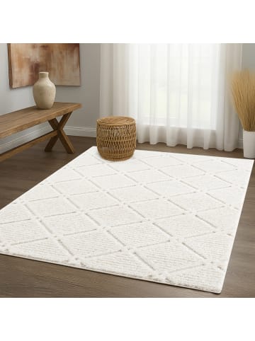 payé Teppich Hochflor Nara 2997