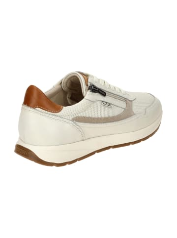 Pikolinos Sportliche Schnürschuhe in Weiß