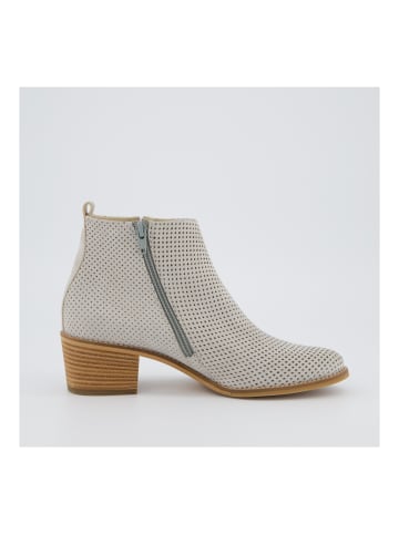 Paul Green Stiefelette in Grau