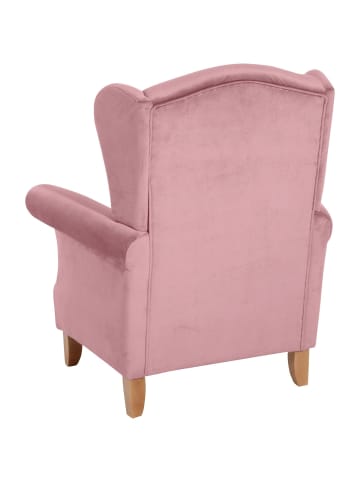 58 aufm Kessel OHRENSESSEL Katria Bezug Samtvelours Buche natur / rosé