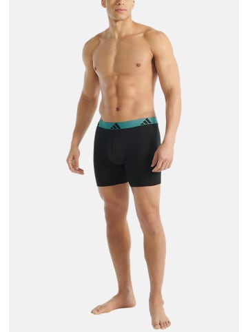 Adidas Sportswear Long Short / Pant Active Flex Cotton in Schwarz / grün / blau