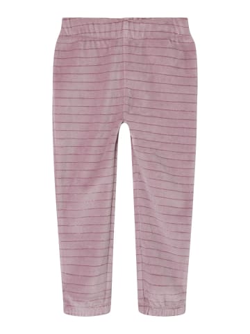 name it Hose in Elderberry