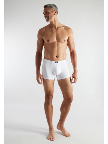 CECEBA Pants 3Er Pack Challenger in weiss