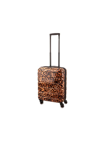 Franky PC13LEO-55DF Spinner Dehnfalte in Leopard