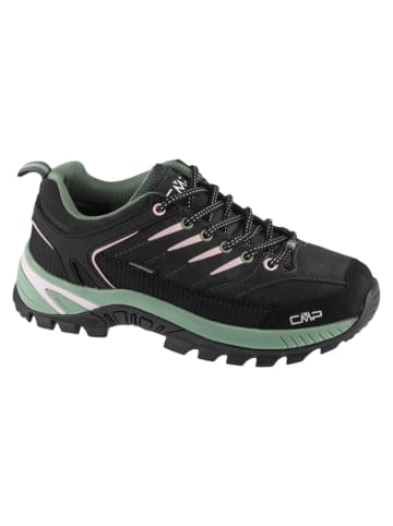 cmp CMP Rigel 2.0 Low WP in Grau