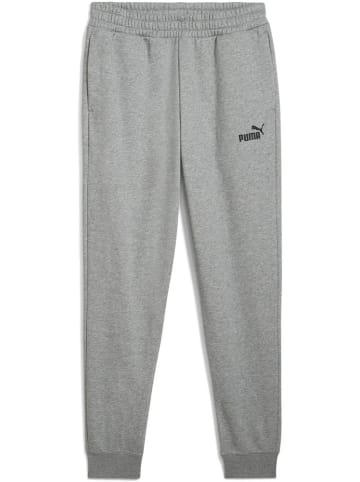 Puma Sporthose "ESS No.1 Logo Sweatpants FL cl" in Grau