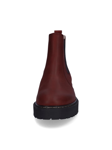 Palpa Chelsea Boot in Bordeaux