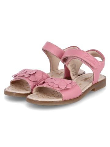 Lurchi Sandalen ZEHRA in Rosa