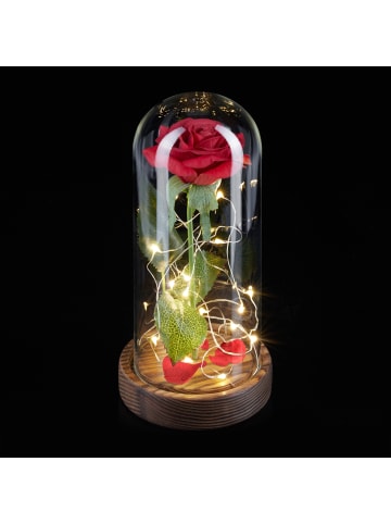 relaxdays Ewige Rose in Rot