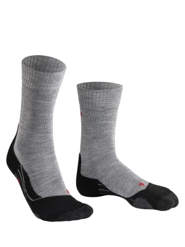 Falke Socken 1er Pack in Hellgrau