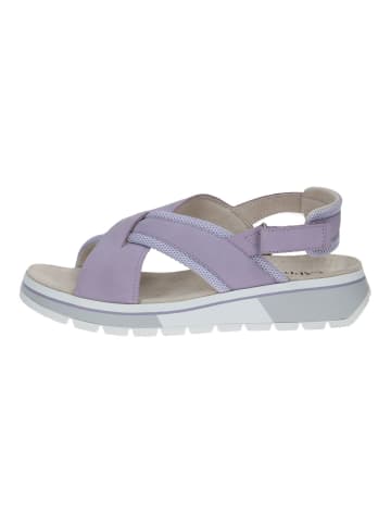 Caprice Sandalen in Purple