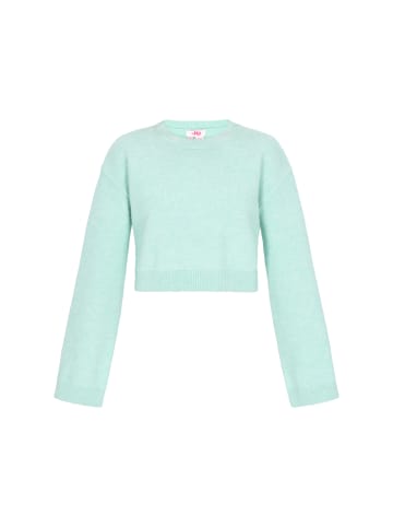 myMo Sweater in mint melange