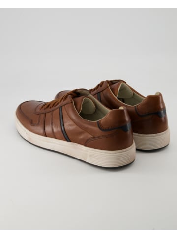 Pius Gabor Sneaker low in Braun