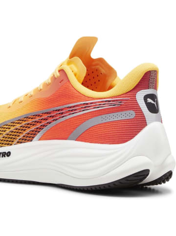 Puma Laufschuh "Velocity Nitro 3 FADE" in Orange