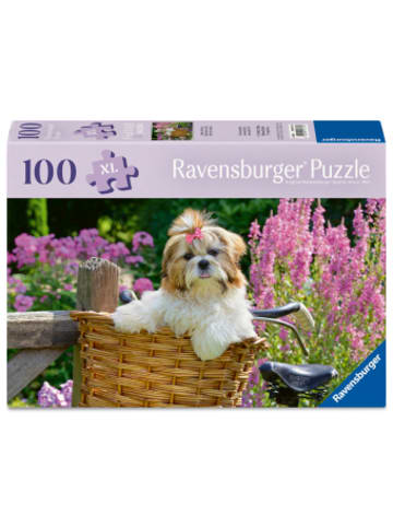 Ravensburger Verlag GmbH Spiel - Süßer kleiner Hund
