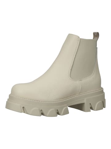 Steve Madden Stiefelette in Bone