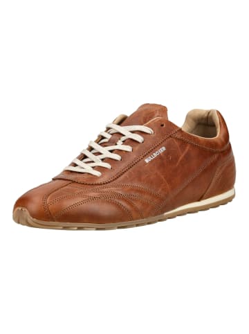 Bullboxer Sneaker in Cognac