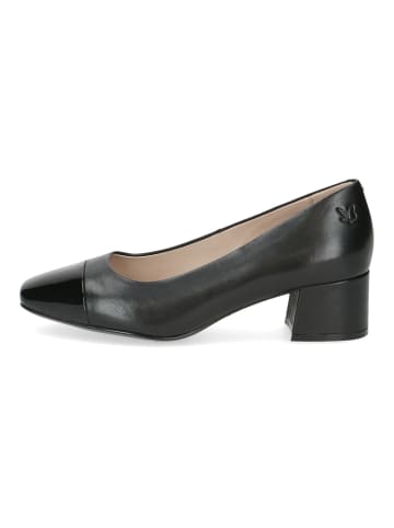 Caprice Pumps in Schwarz