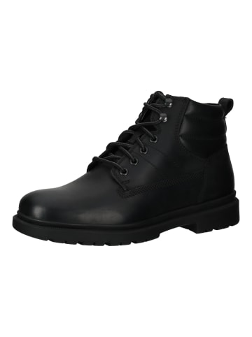 Geox Stiefelette in Schwarz