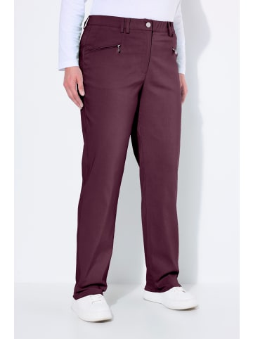 Ulla Popken Hosen in aubergine