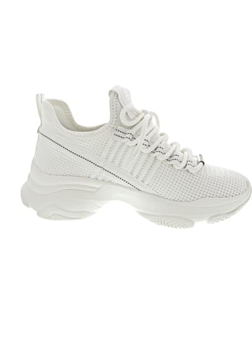 Steve Madden Mac-E Sneaker Weiß