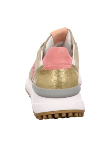 Floris van Bommel Sneaker Low in Beige