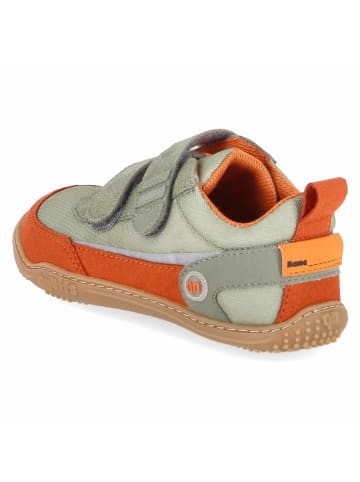 qnuffs Slipper in green