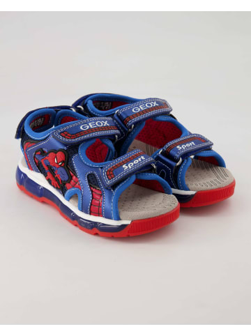 Geox Klettschuhe in Blau