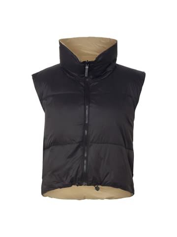 Noisy may Noisy may Westen in black