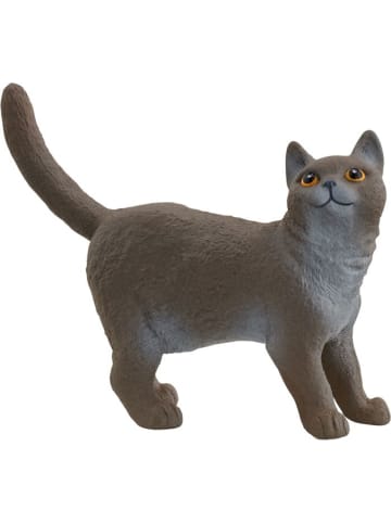 Schleich Britische Kurzhaar Katze in Mehrfarbig ab 3 Jahre