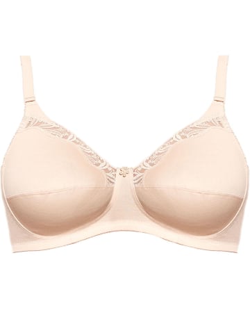 SUSA BH ohne Bügel Cotton in shell