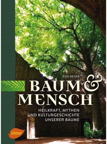 Ulmer Baum und Mensch