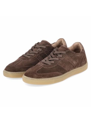 Fräulein Frida Low Sneaker in braun