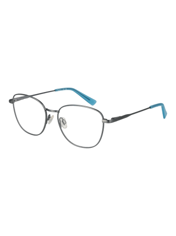 Damen Optische Fassungen Panto Silber