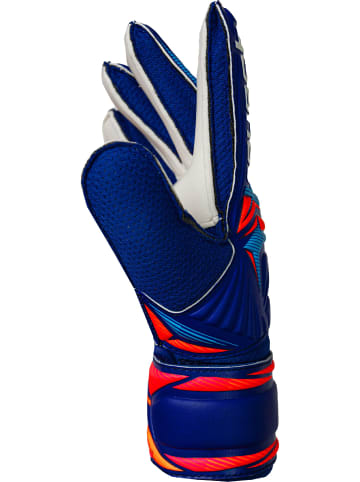 Reusch Torwarthandschuhe Attrakt Solid Junior in 4126 sharp blu/wht/shock orng