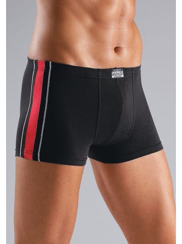 AUTHENTIC UNDERWEAR Boxer in grau-meliert, grau-meliert, schwarz, schwarz