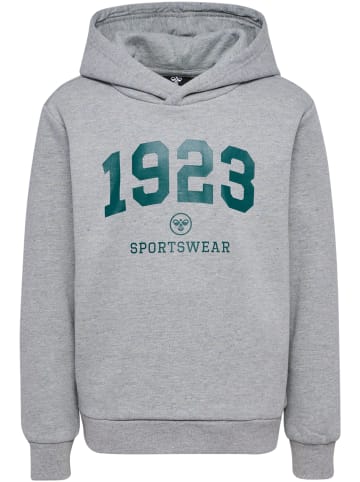 Hummel Kapuzenpullover Hmlnipps Lebensstil Jungen in LIGHT GREY MELANGE