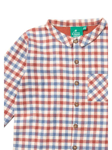 Little Green Radicals Organic Cotton Long Sleeve Shirt in Multi