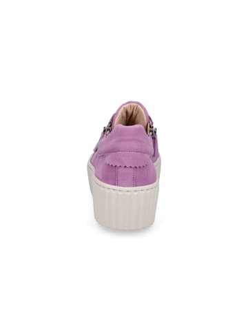 Gabor Fashion Plateau-Sneaker in Lila