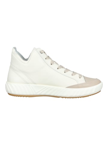 ara Sneaker in Beige/Braun