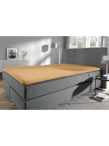 Erwin Müller Single-Jersey Topper-Spannbettlaken Freising in beige