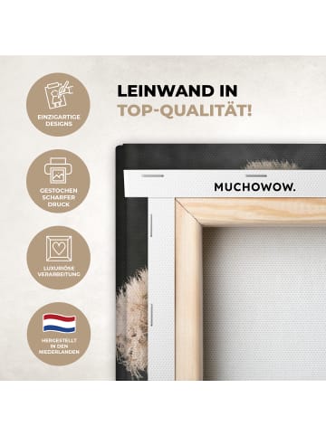 MuchoWow Leinwand bilder Löwenzahn (BxH)