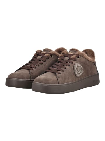 BLAUER USA Sneaker VICTORY Dunkelbraun