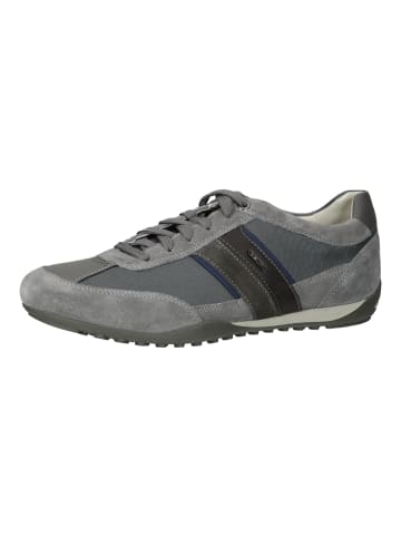 Geox Sneaker in Dunkelgrau