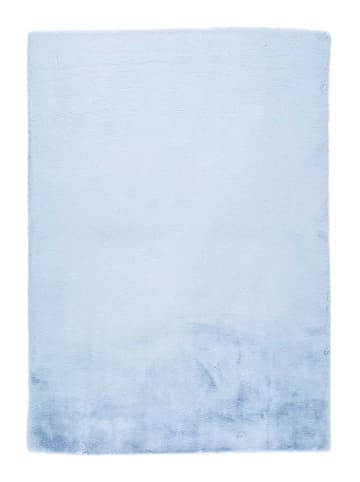 Atticgo Waschbarer Hochflor-Teppich FOX unregelmäßige form in himmelblau